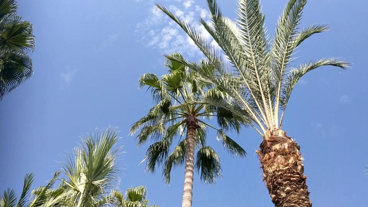 Fantastic 1 Bed Apartment By The Sea Opposite 4 Seasons リマソール エクステリア 写真